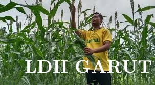 Diversifikasi Sumber Pangan Lokal: LDII Ajak Keluarga Bangun Ketahanan Pangan dan Swasembada